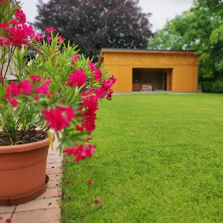 Апартаменты Trafohaz Замарди