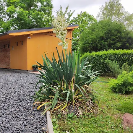 Trafohaz Апартаменты Замарди